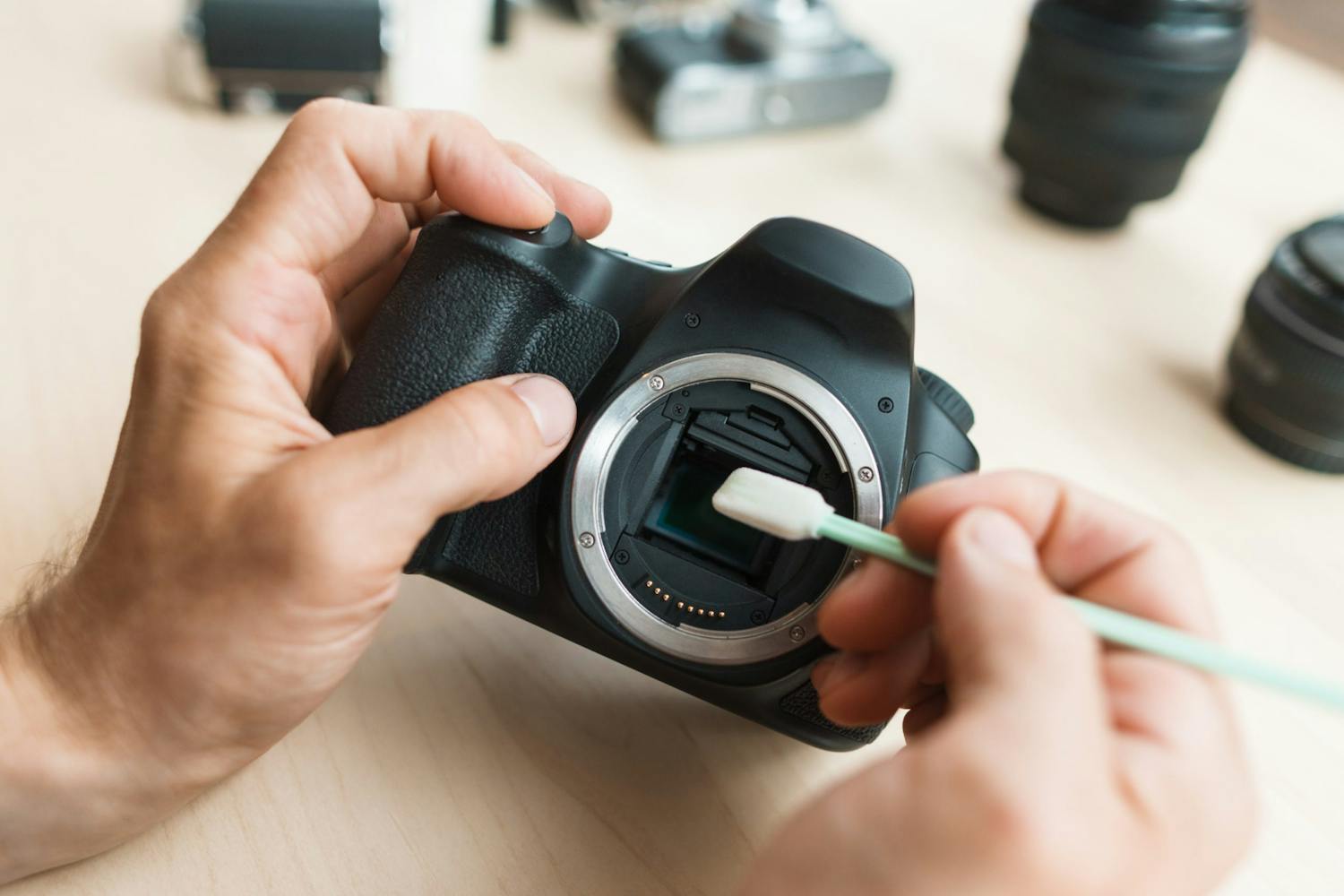 shutterstock 507793507 Bomullspinne för kamerarengöring.